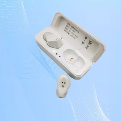 Aide auditive rechargeable avec suppression de l'écho et amplification de la parole