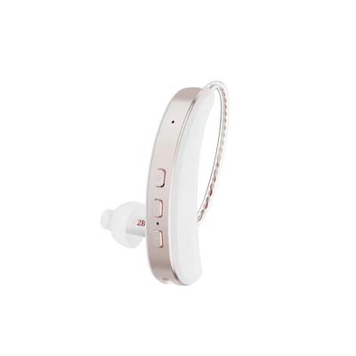 Aides auditives invisibles RIC avec Bluetooth DSP 3,7V Aides auditives à blocage du bruit Niveau 9