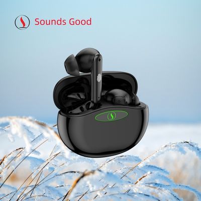 Réduction automatique du bruit Aides auditives OTC ITE style 32 canaux Amplificateur auditif numérique